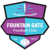 Singida Fountain Gate FC Logo