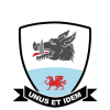 Baglan Dragons Logo