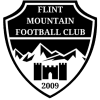 Flint Mountain