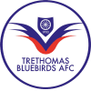 Trethomas Bluebirds Logo